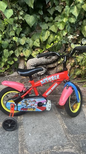 Paw patrol born - born, 12”